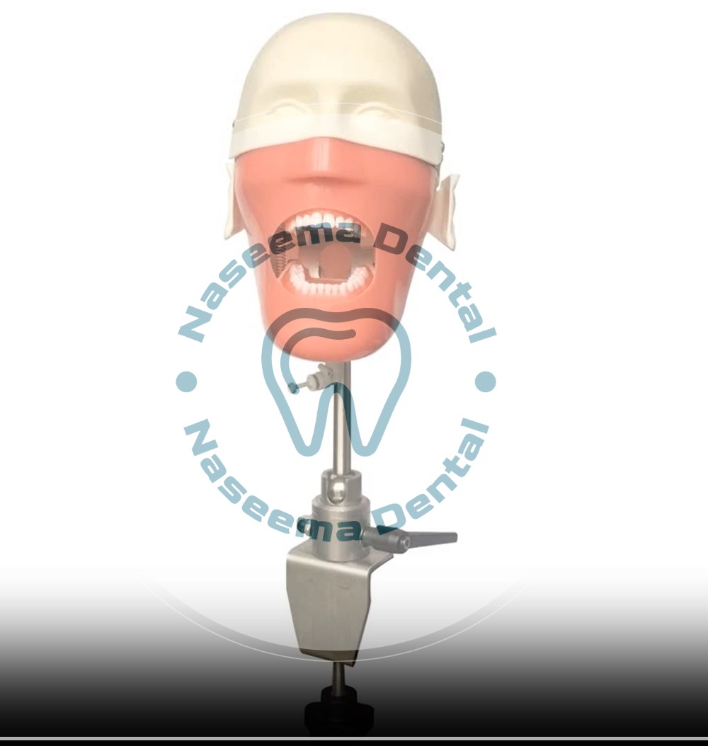 uploads/categories/1703751597_Manikin Head-ink.jpeg
